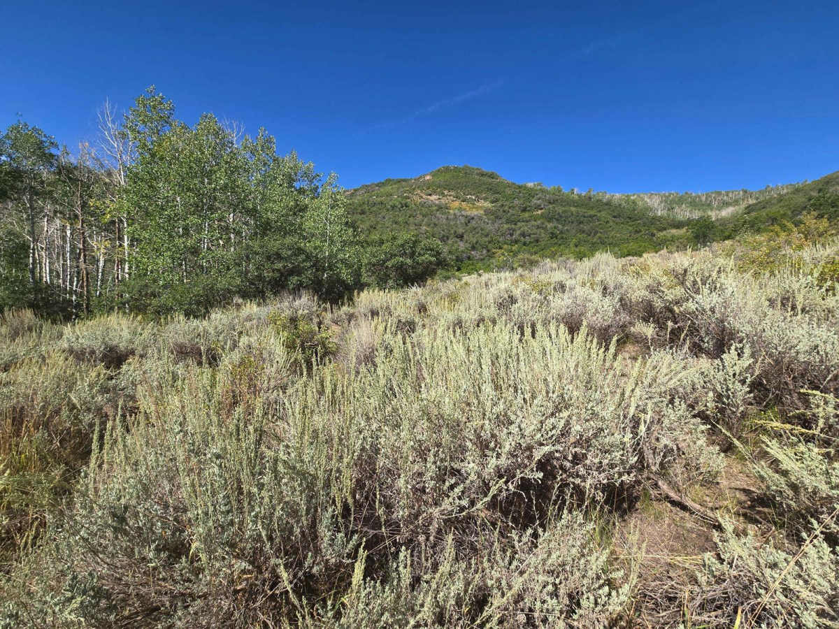 FSR 42642 To 40454 photo 2