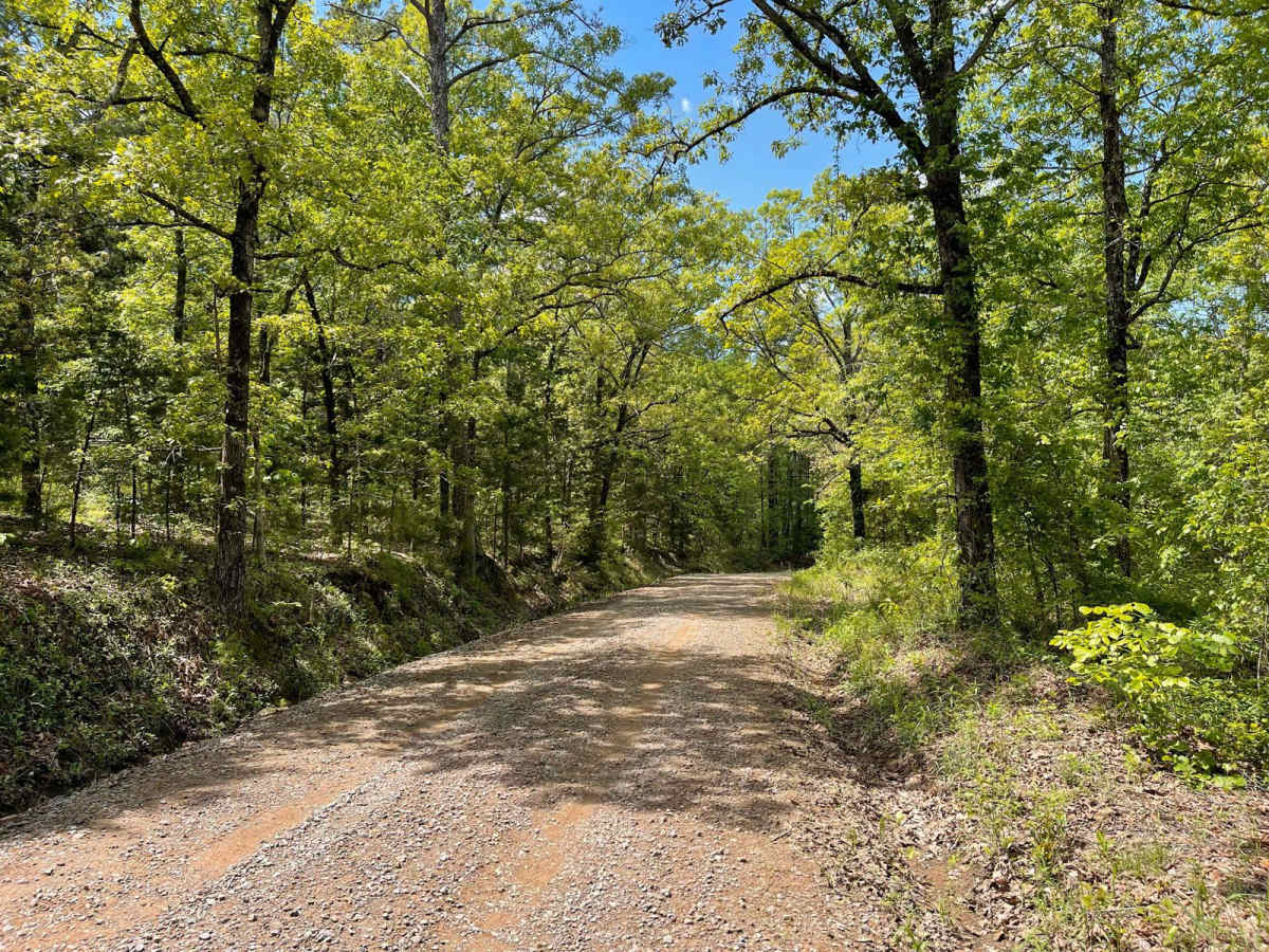 Scenic Richmond Road photo 2