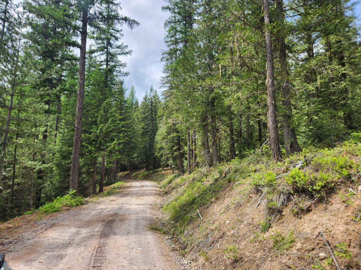 Spar Lake Road photo 2