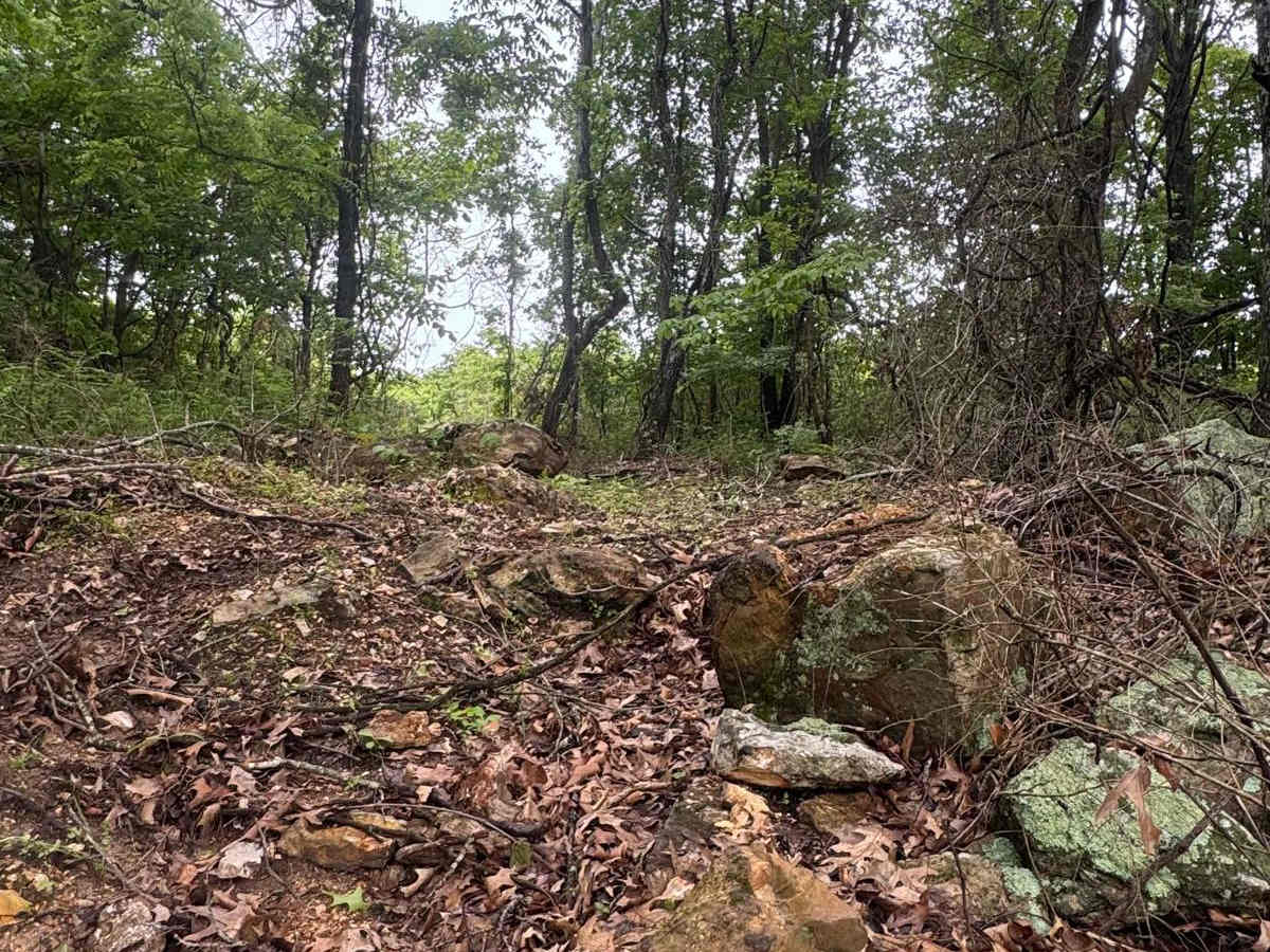 Hudson's Hideaway photo 3