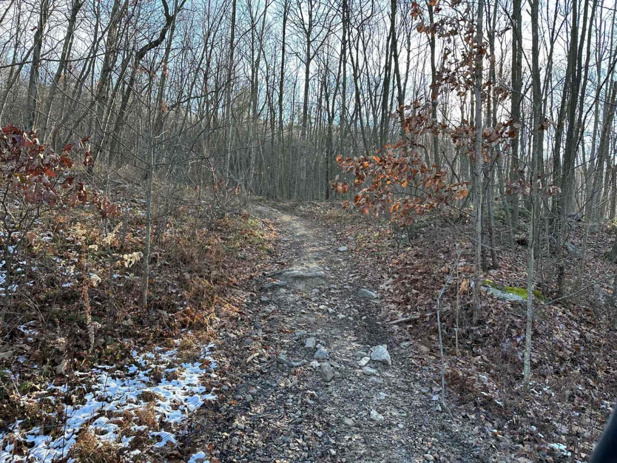 Locust Gap 67 photo 6