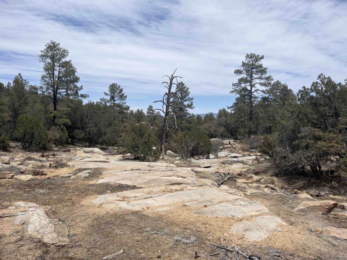 Willow Creek/Shrine Mine Road photo 5