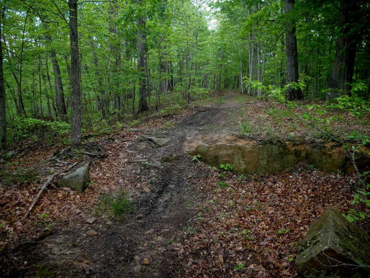 IB 161 trail photo