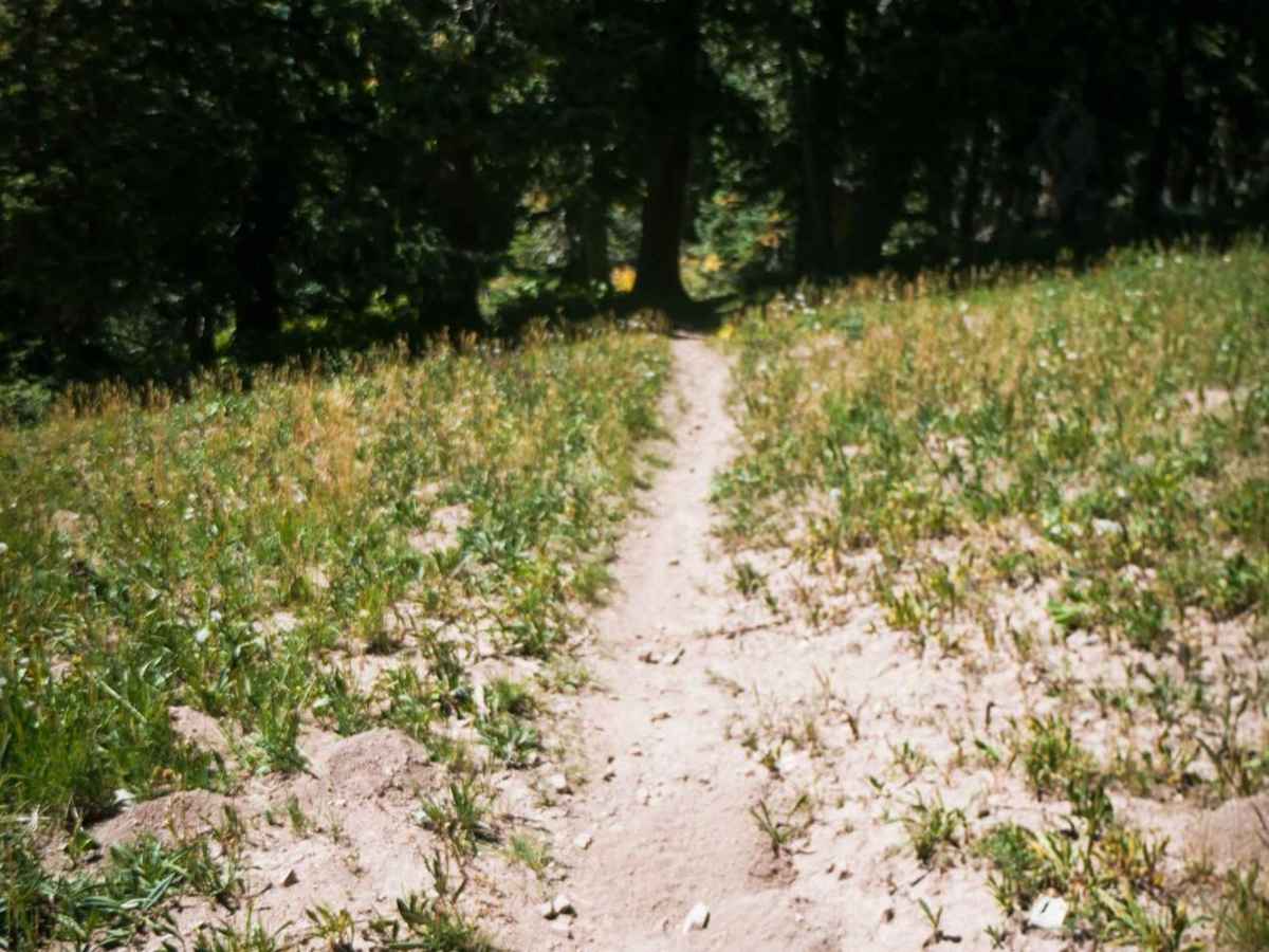 Hillside Connector photo 3