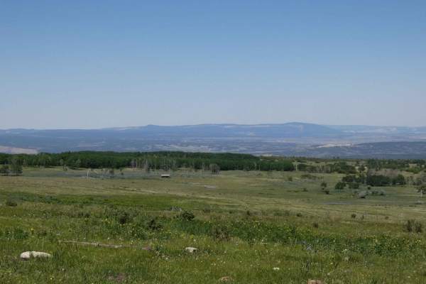 Green Camp Canyon