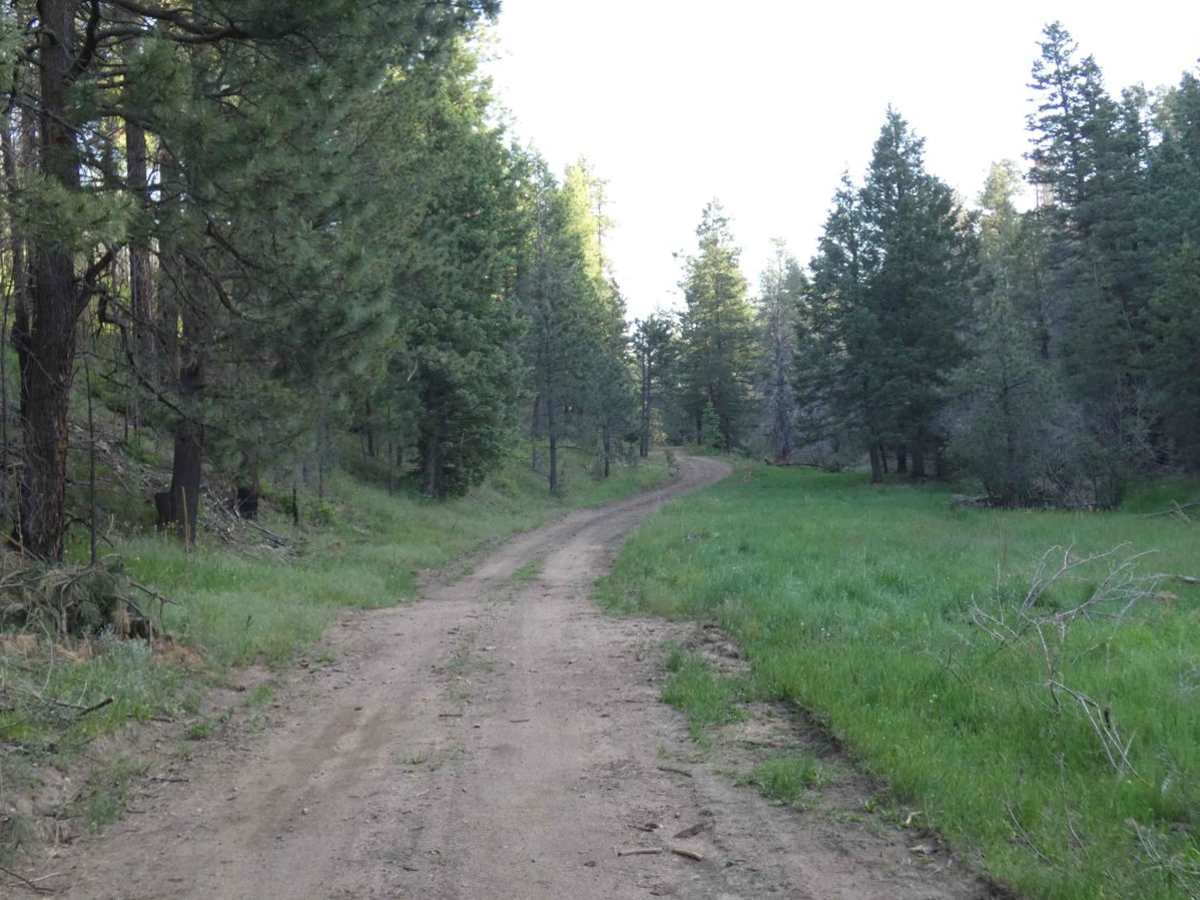 San Geronimo Back Road trail photo