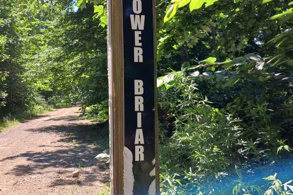 Lower Briar Path