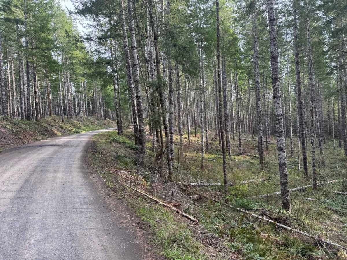 Karth Road photo 2