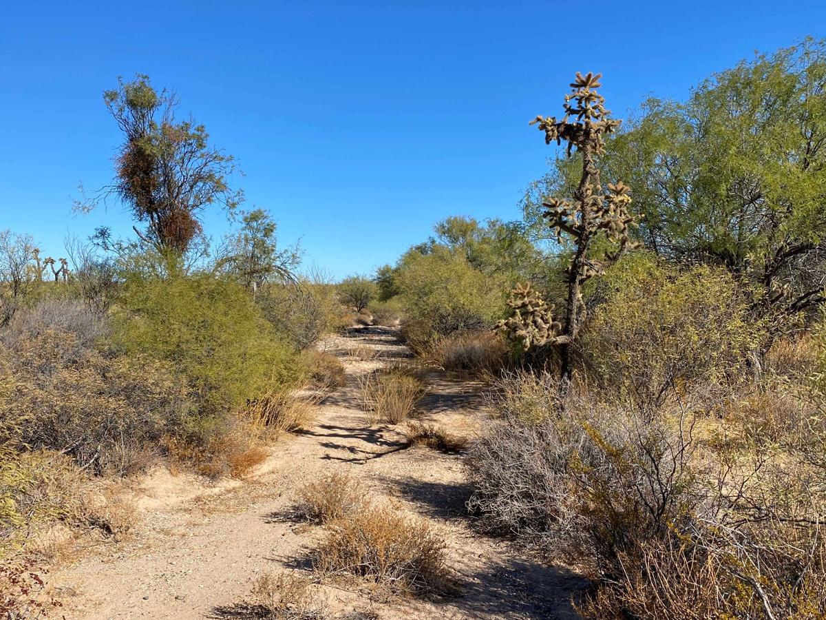Marmol Loop trail photo