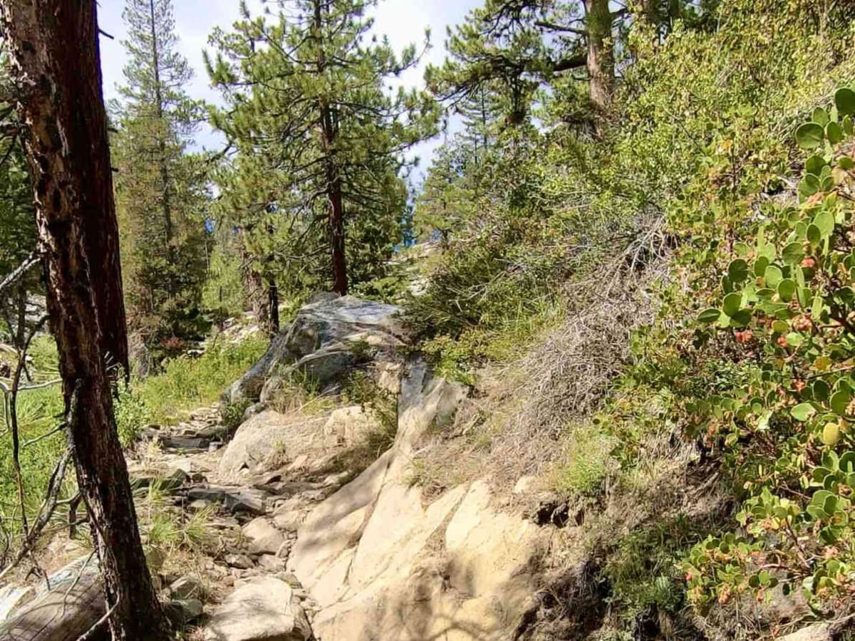 Beach Trail photo 6