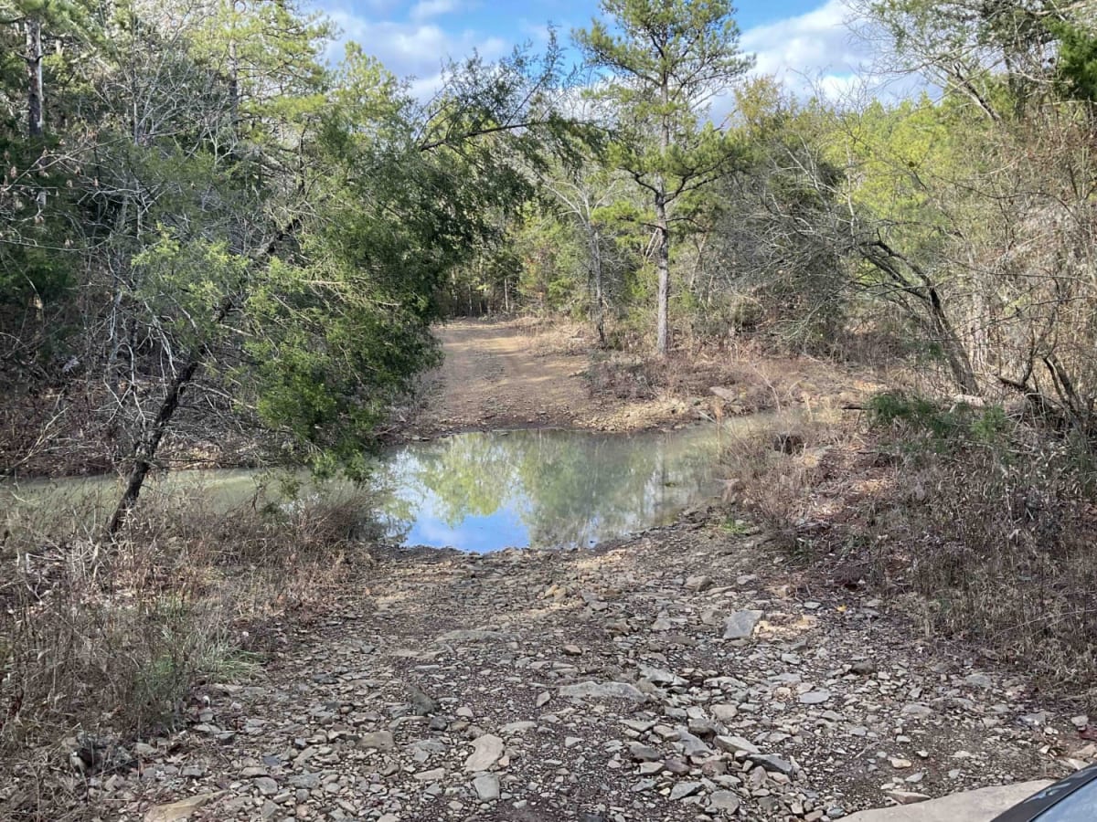Merie Conser Trail (FS 6061) photo 4