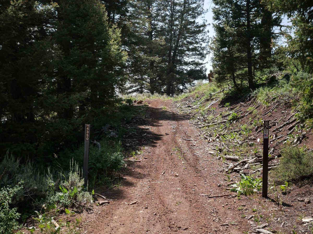 Leg Creek ATV trail photo