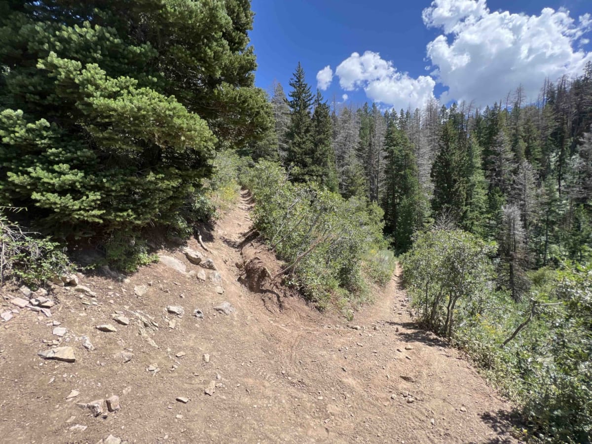 Pine Hollow (2047) trail photo