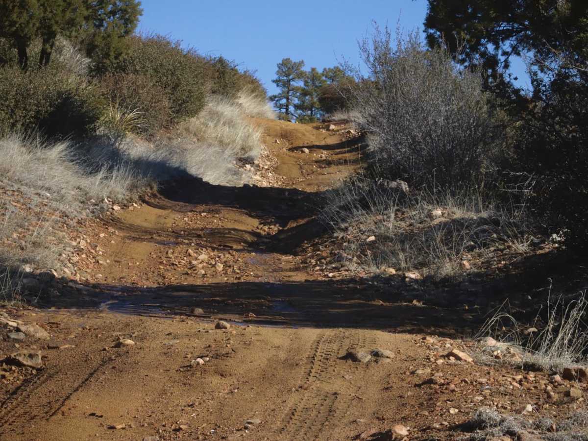 FDR 64/Marapai Road trail photo