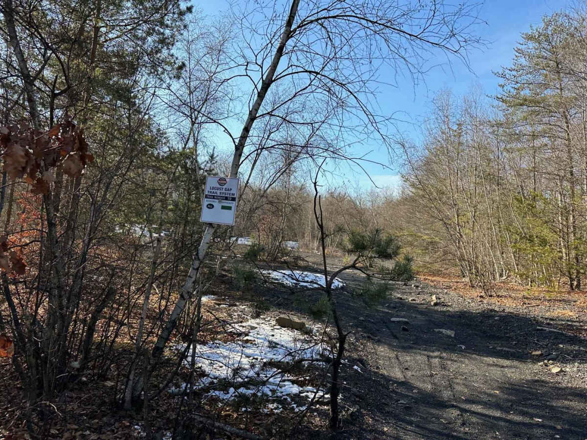 Locust Gap 19 trail photo