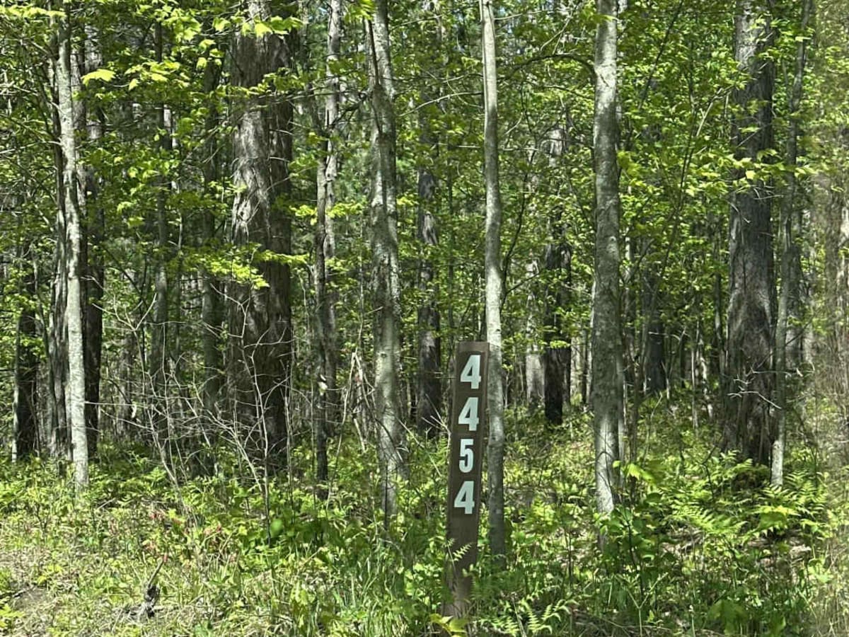 FS 4454 trail photo