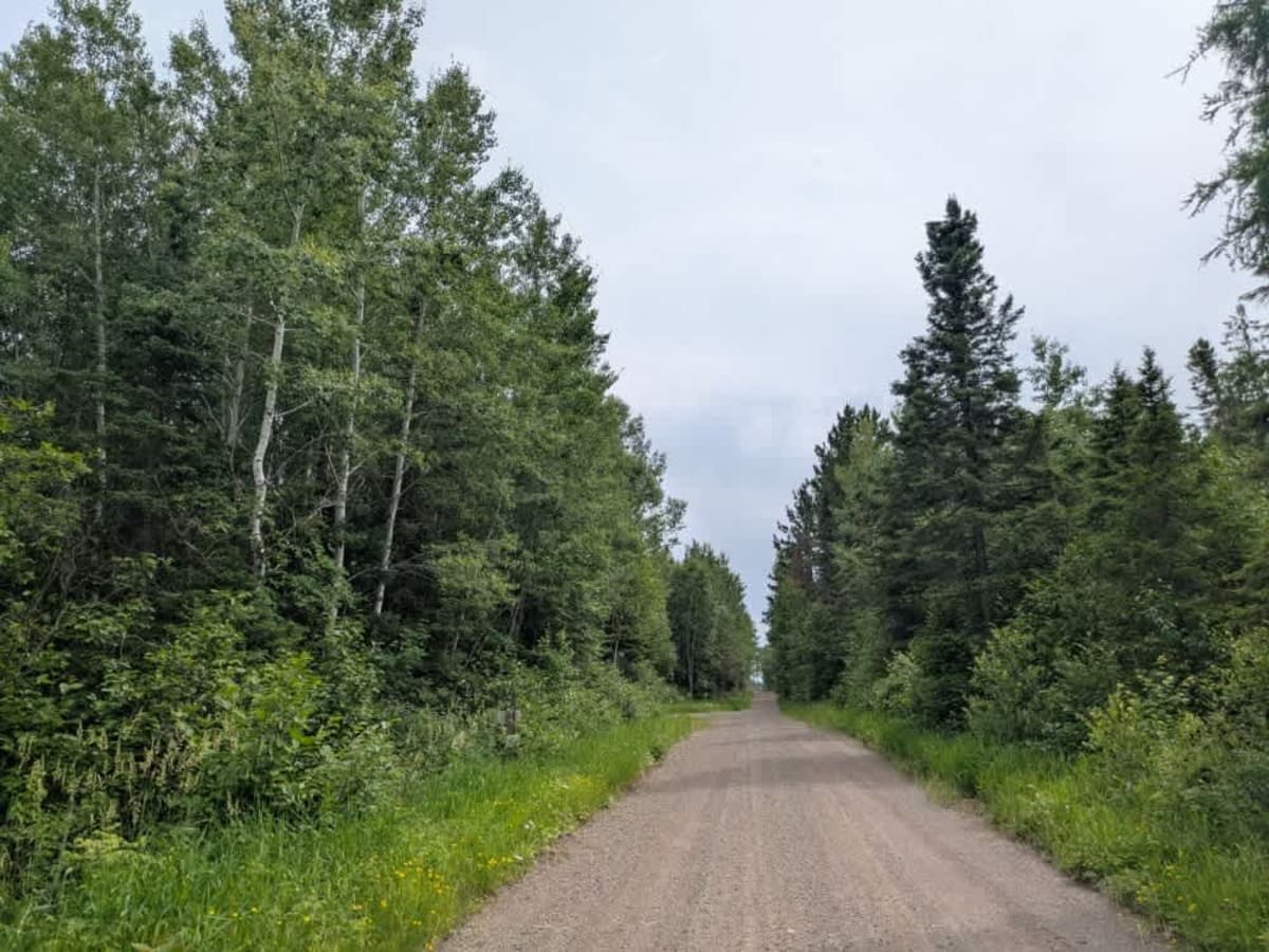 419 trail photo