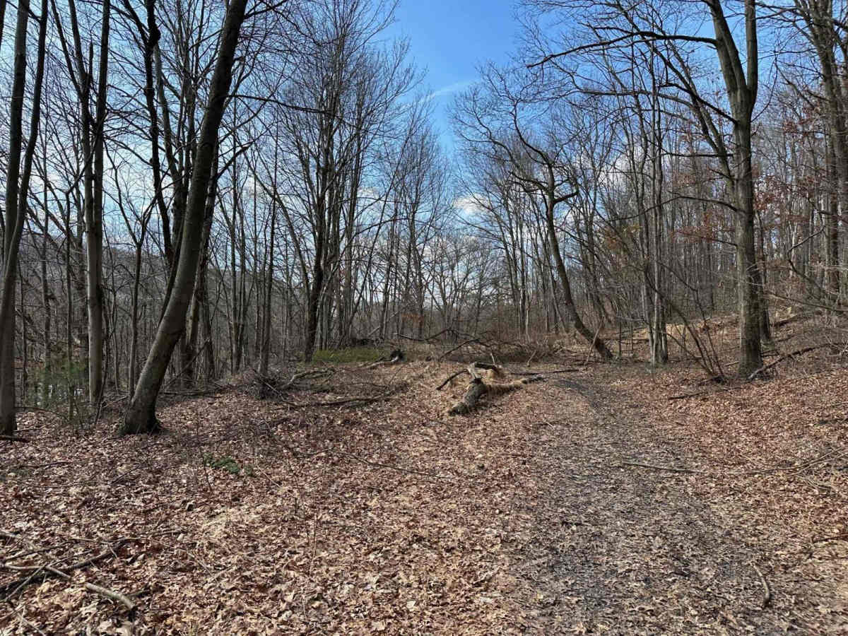 Ashland 60 photo 4