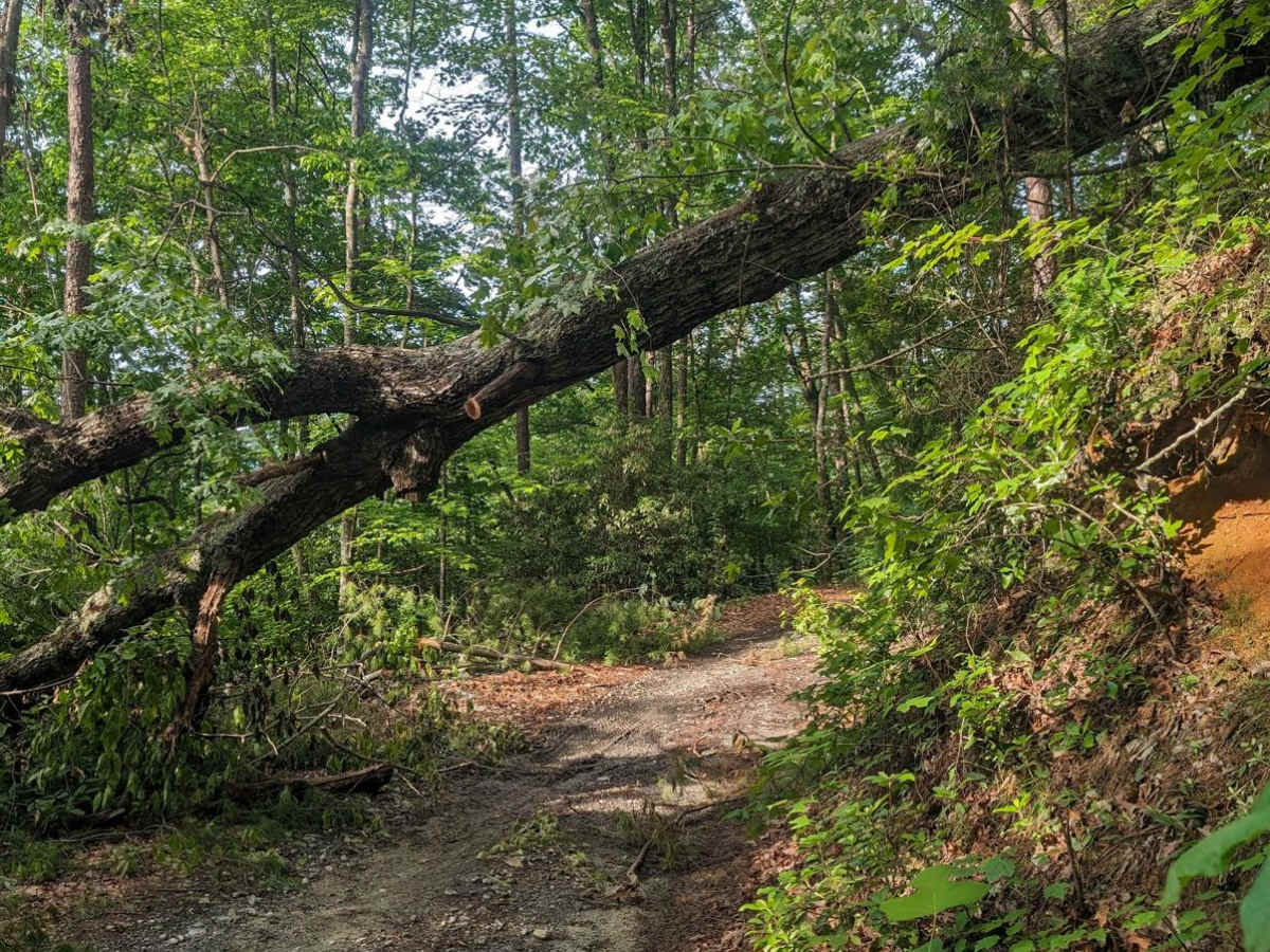 Chestnut Ridge Road/Auger Hole Road photo 4