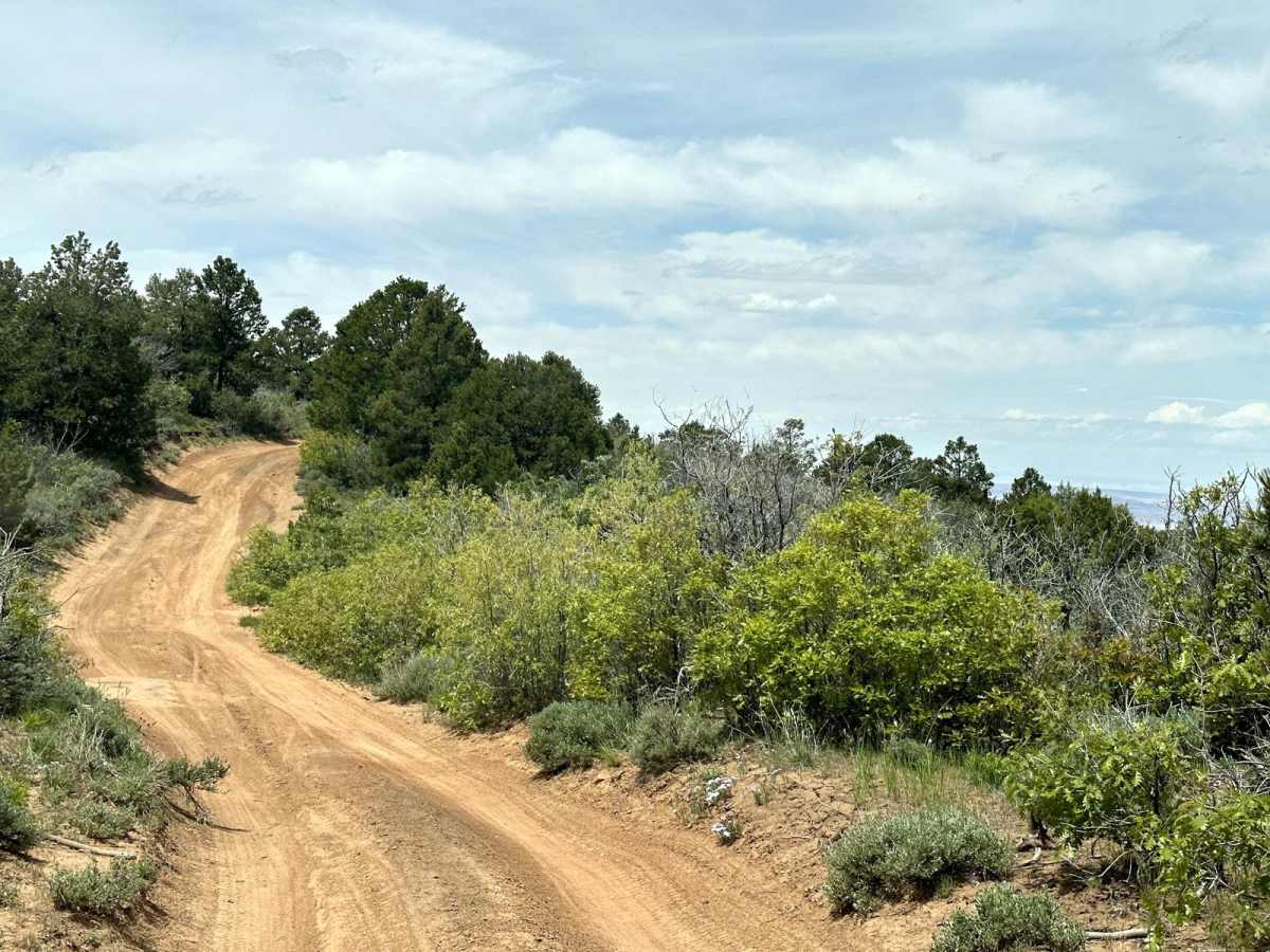 Kokopelli Trail (Castle Valley Overlook to Sand Flats Road) photo 4