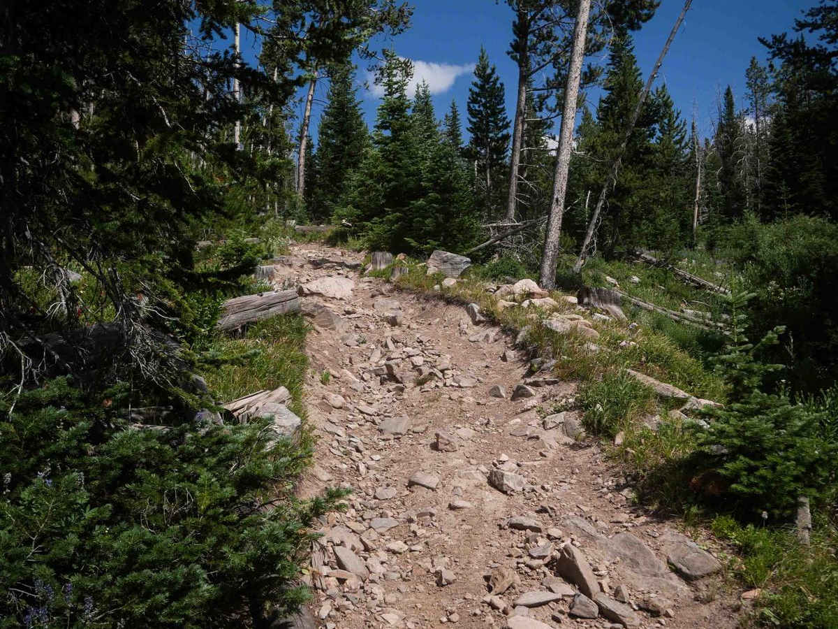 Hare Trail photo 5