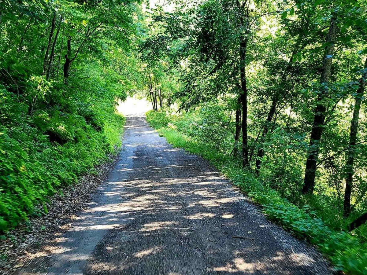 Sand Road Driftless Loop photo 5