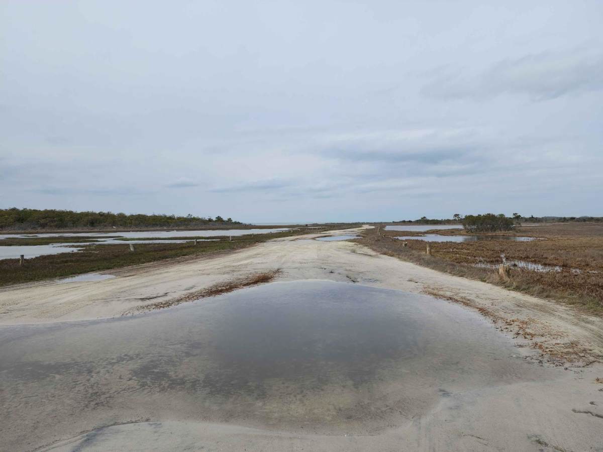 Assateague Island OSV photo 5