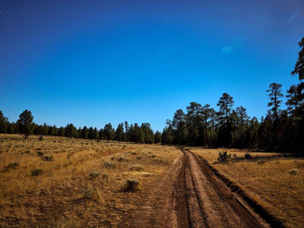 Old Road 2741 photo 4