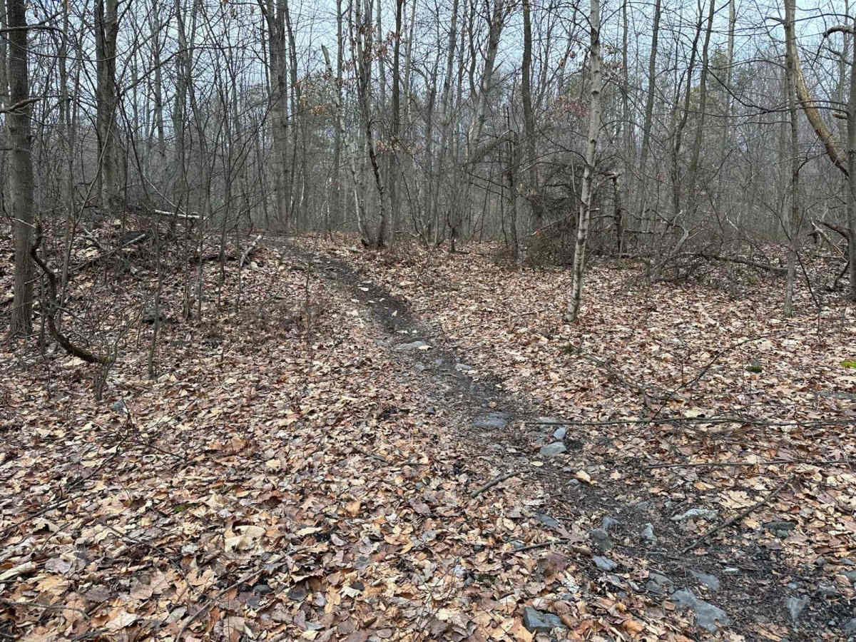 Locust Gap Single Track Add On photo 5