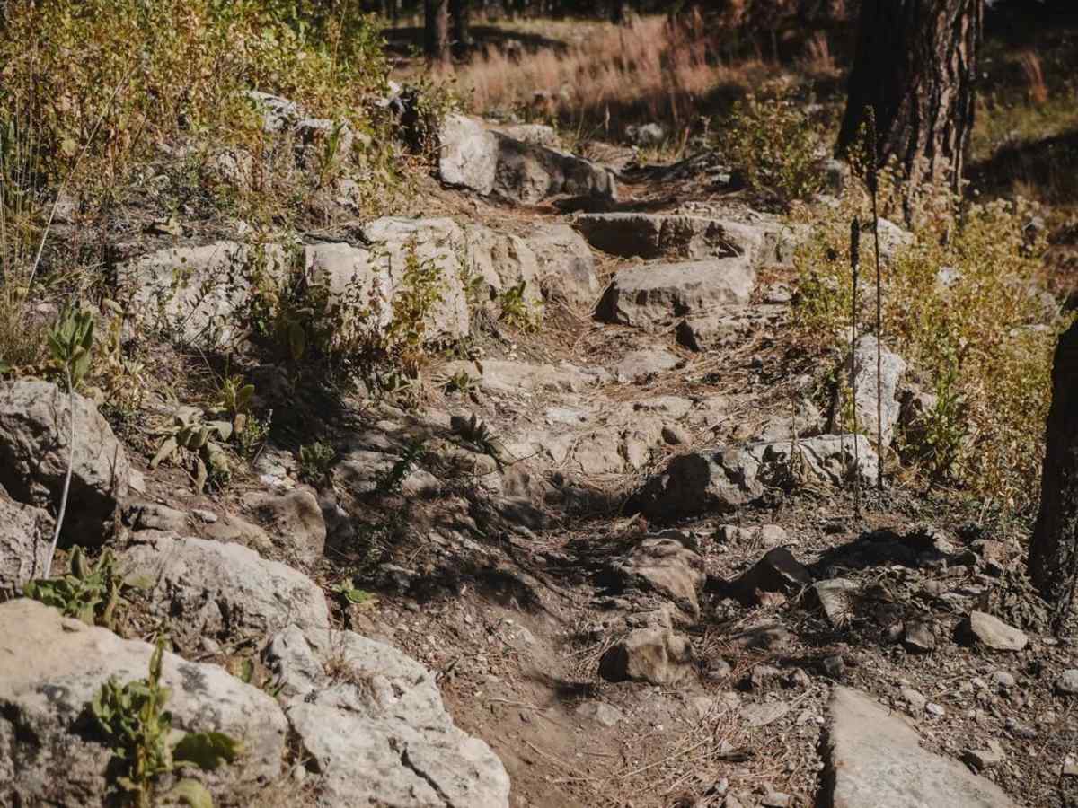 Airport trail photo