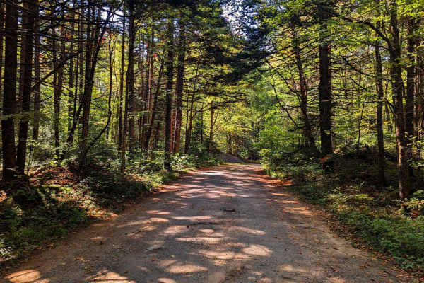 Limekiln Lake Trail