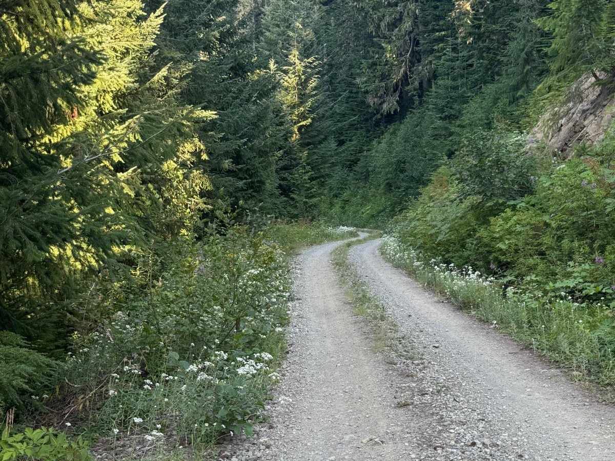 CG 1400 Connecting Trail photo 4