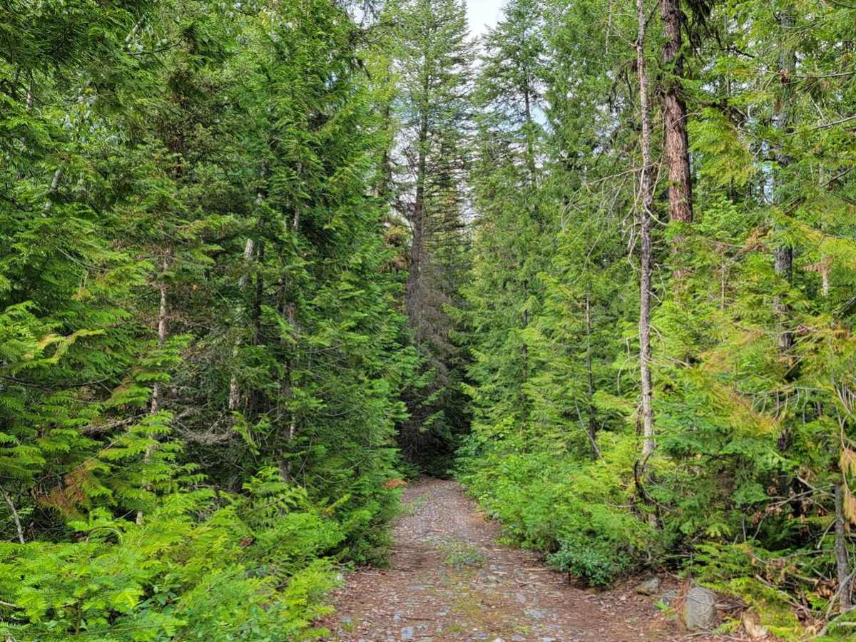 Goat River To Kamma Creek FSR photo 2