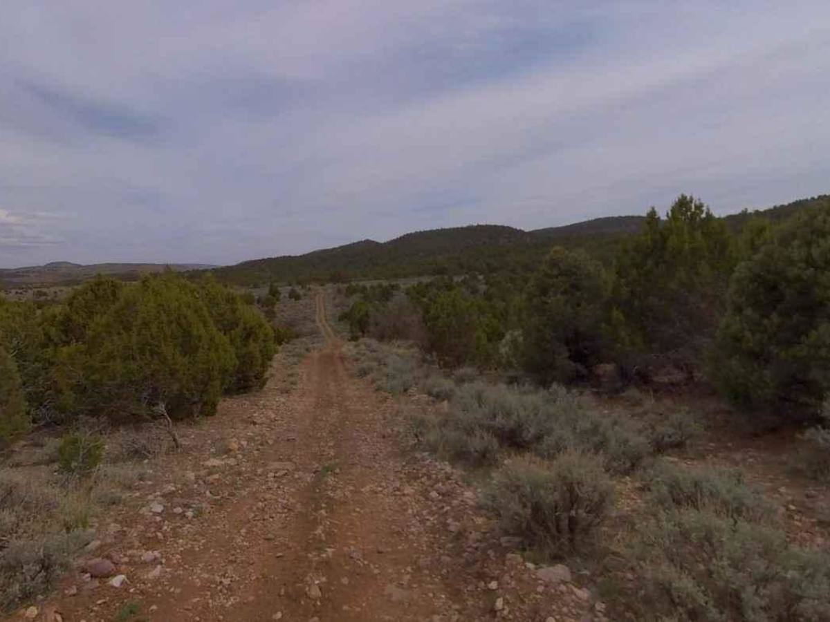 Dixie National Forest-FR31006 trail photo