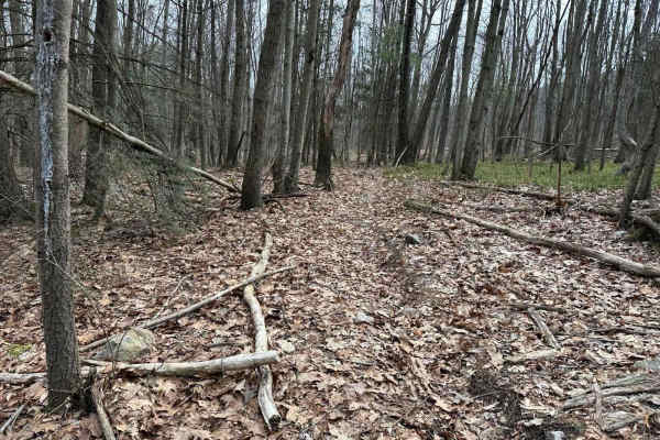 Tower City Single Track 3- A