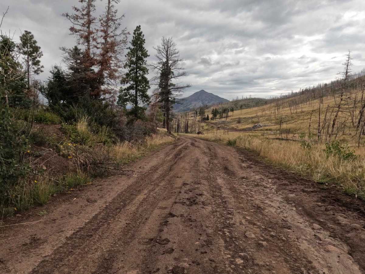Red Creek Road (FR30078) photo 4
