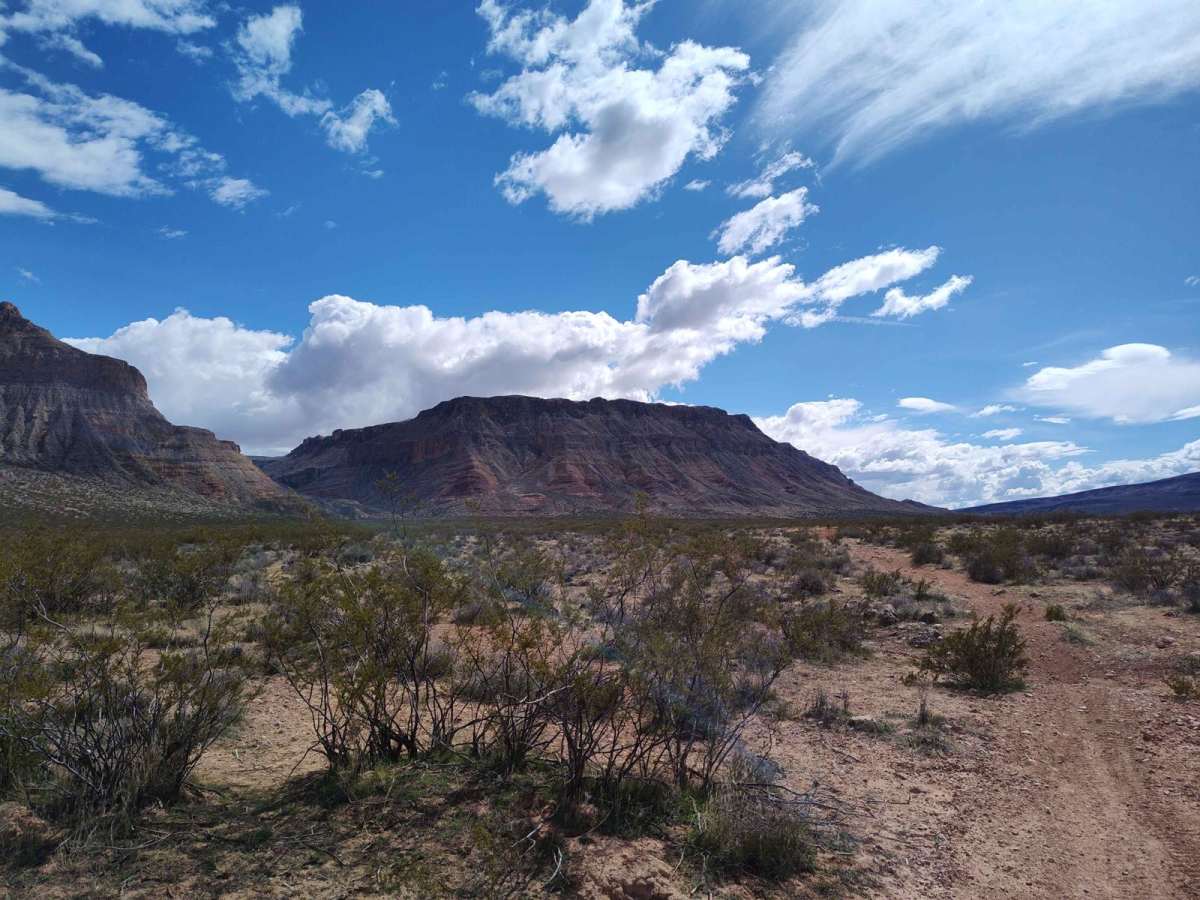 Black Rock Fun Park - Single Track trail photo