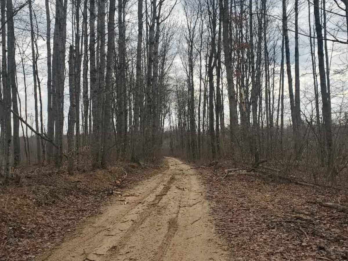 Bager Trail photo 4