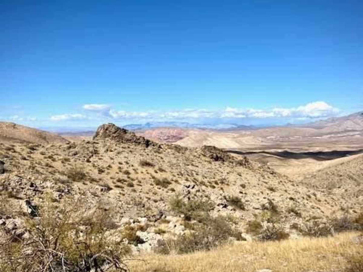 Tramp Mine Trail photo 4