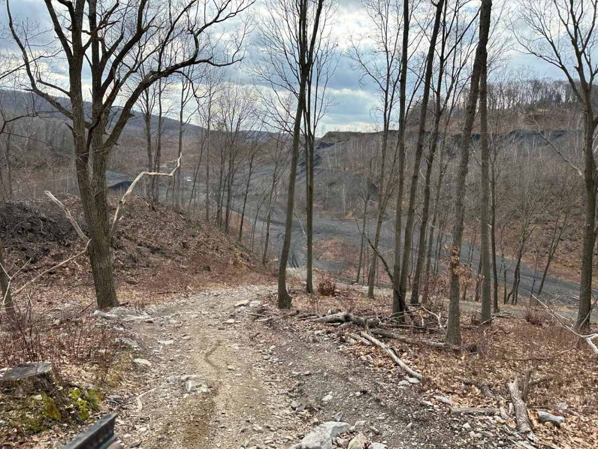 Ashland 65 photo 6