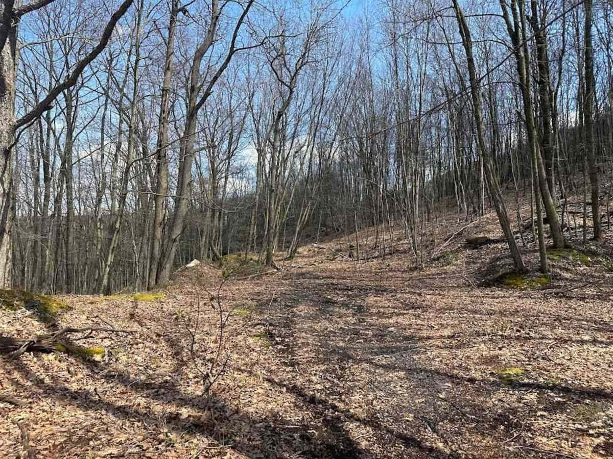 Ashland 125 photo 5