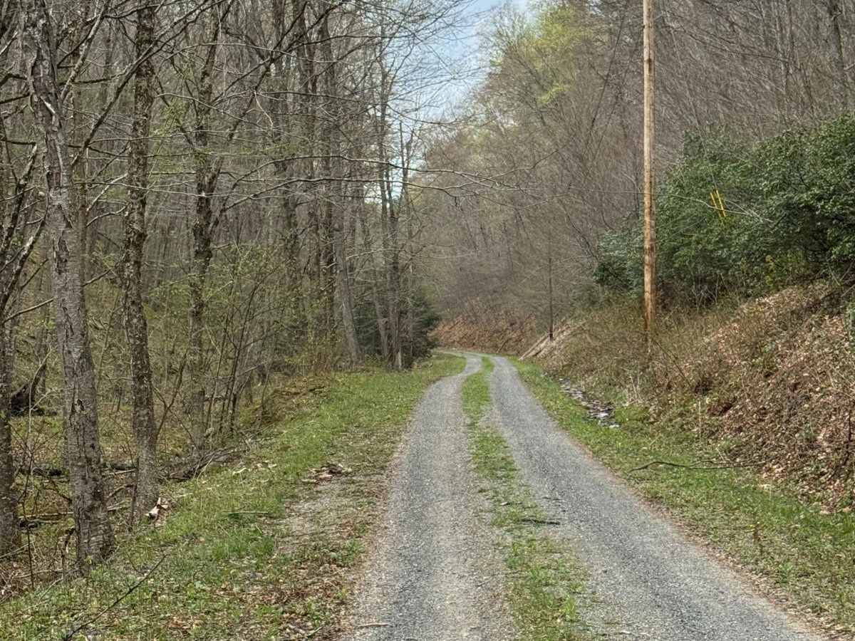 Trout Run Road North photo 3