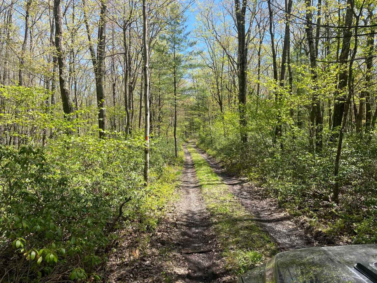 Green's Valley Trail photo 3