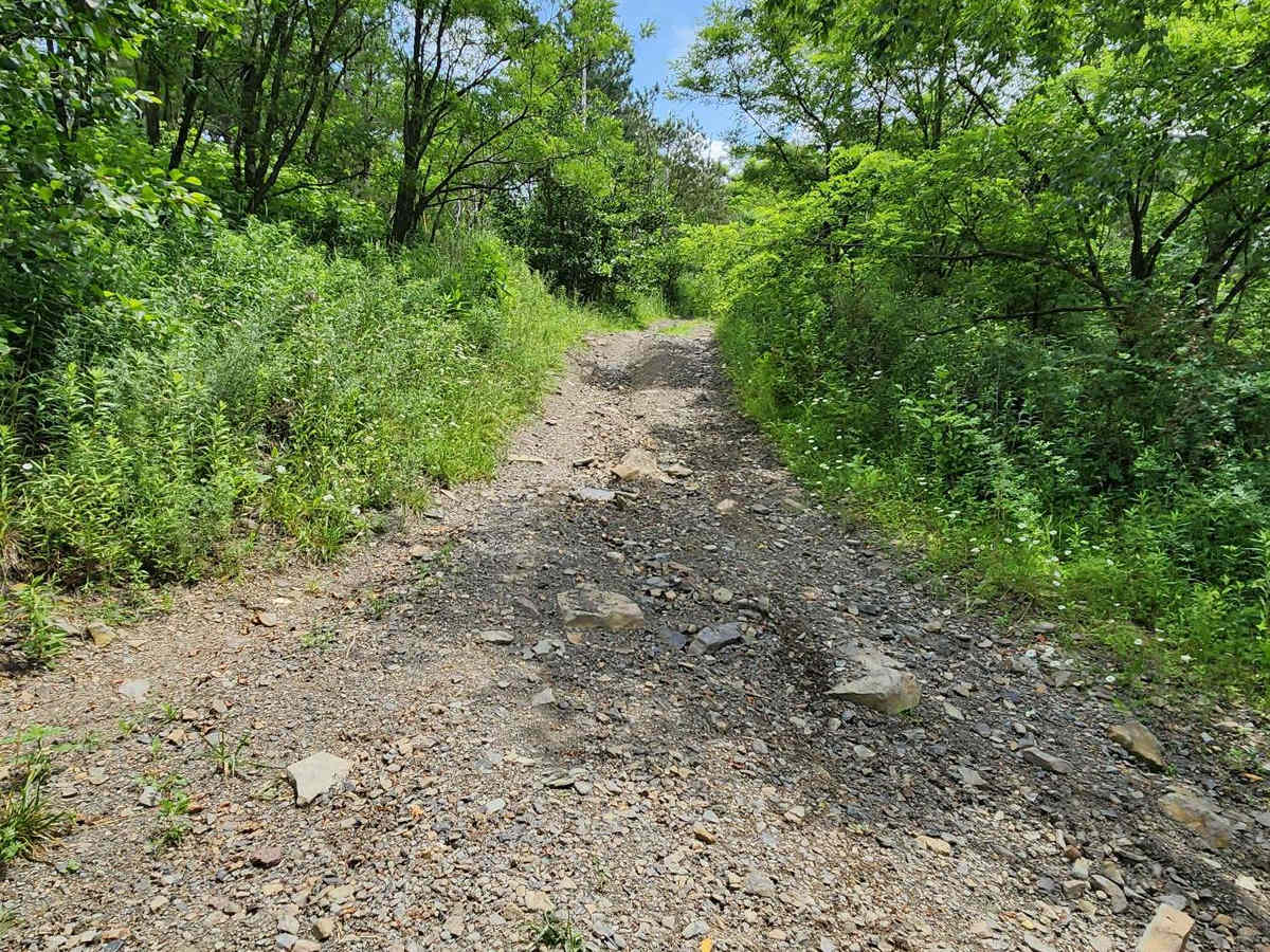 Trail 8H - Rock Run Recreation Area photo 3