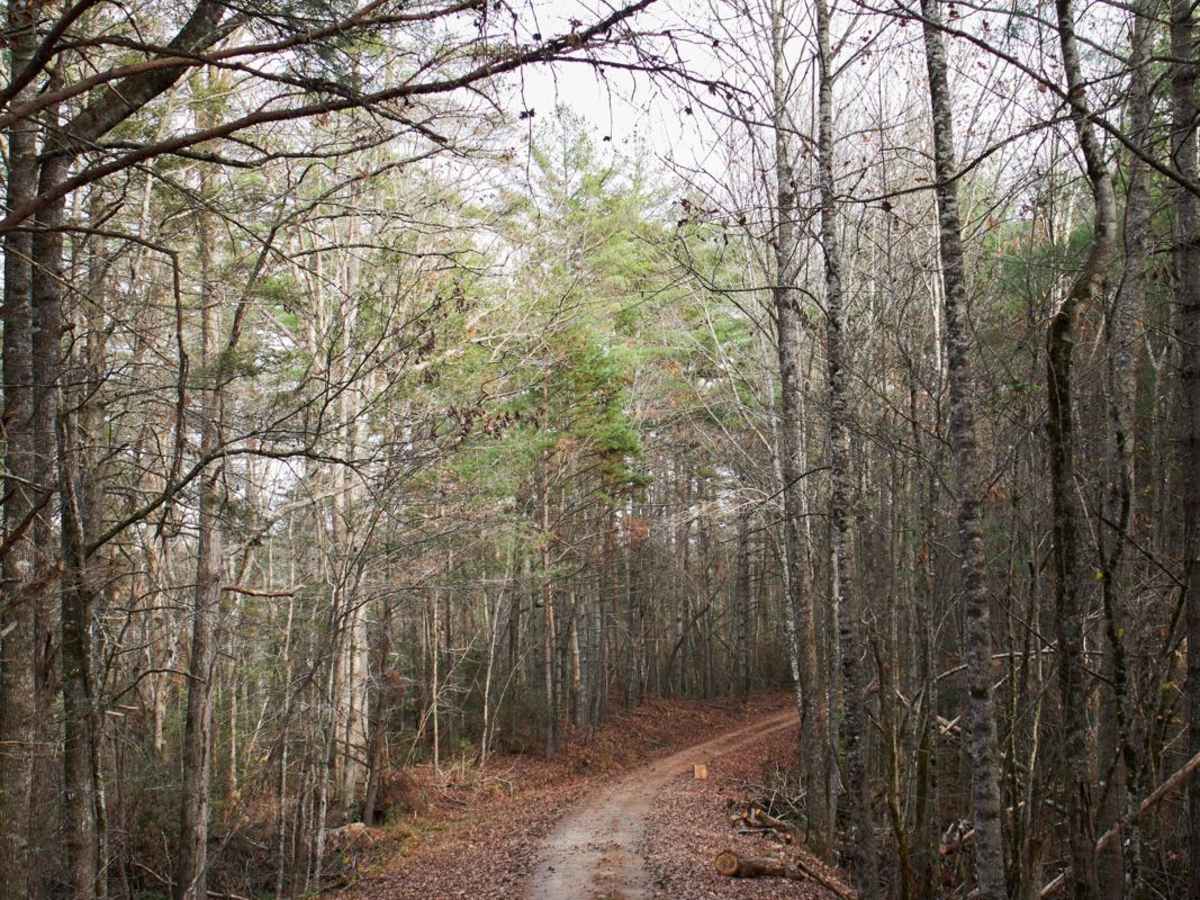 Fall Creek - FSR 722 photo 4