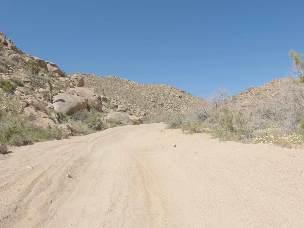 New Dixie Mine Road - BLM C2330 photo 6