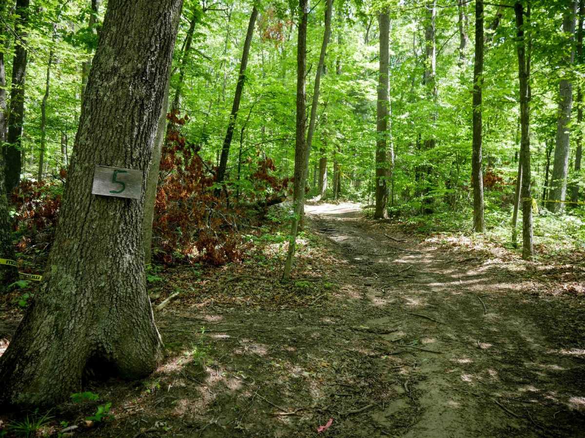 Trail 5 trail photo
