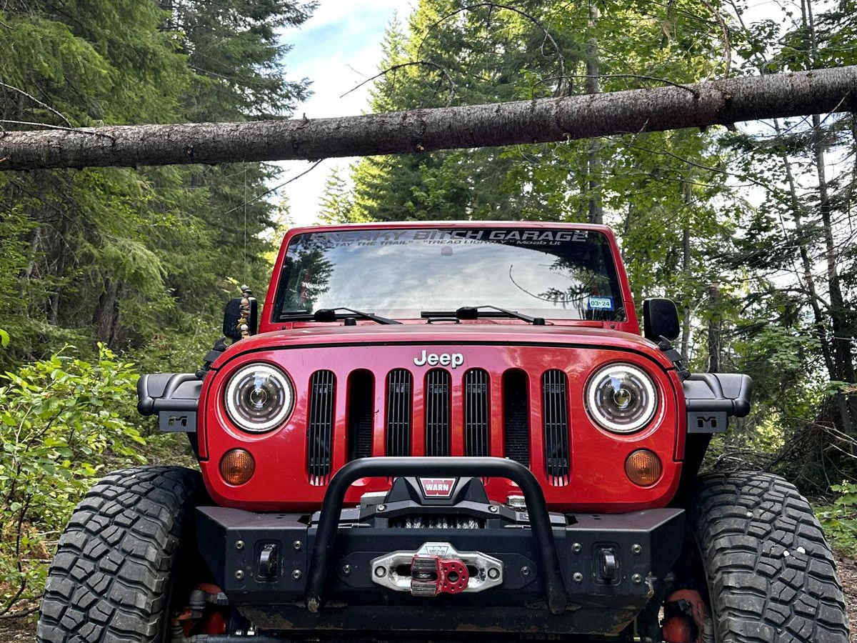 Alder Ridge Loop trail photo