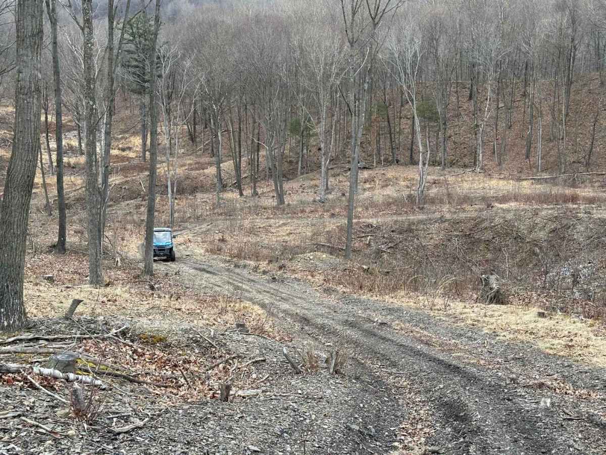 Ashland 67 photo 6
