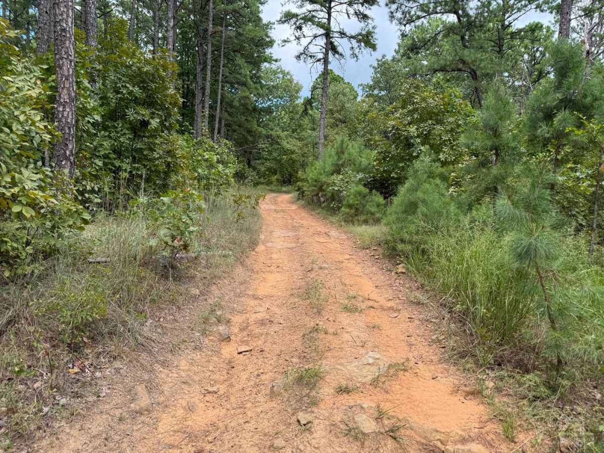Smoluck - Trail 1653 photo 5